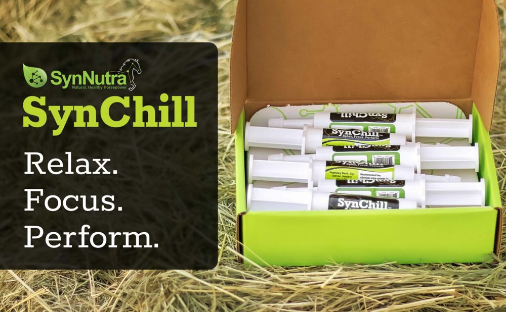 A+ content build-out, equine supplement brand